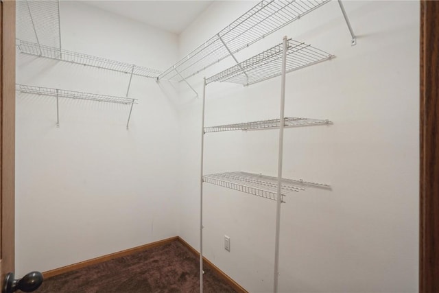 walk in closet featuring carpet flooring