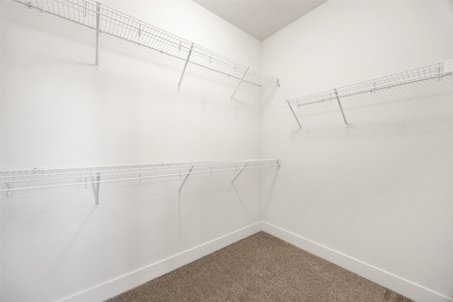 750 Hampshire Dr, Marion, IA 52302 - spacious closet featuring carpet floors