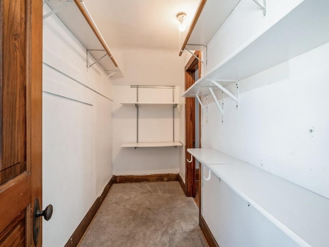 walk in closet featuring carpet flooring