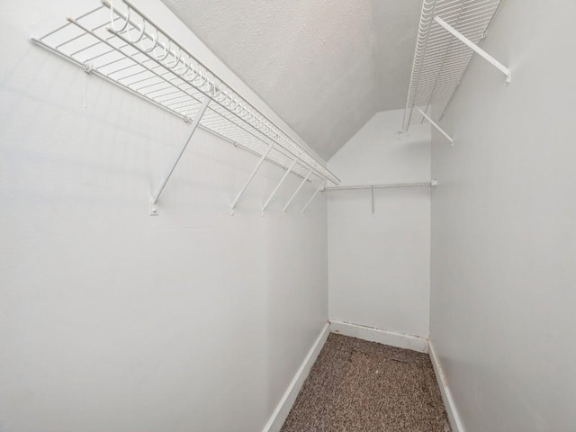 spacious closet with carpet floors