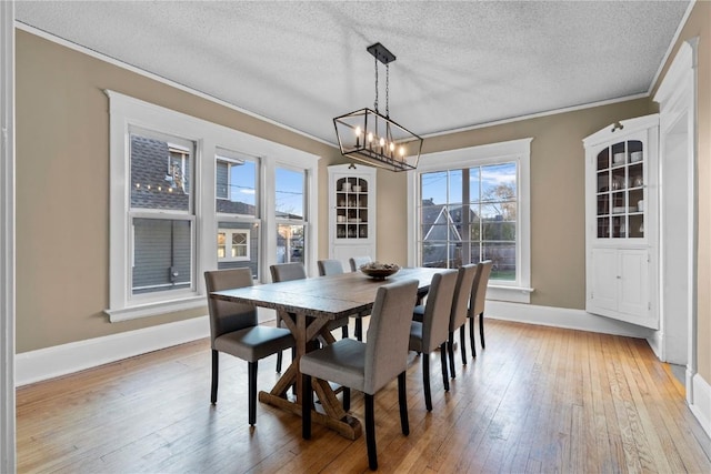 dining room with crown molding, a wealth of natural light, and light hardwood / wood-style flooring