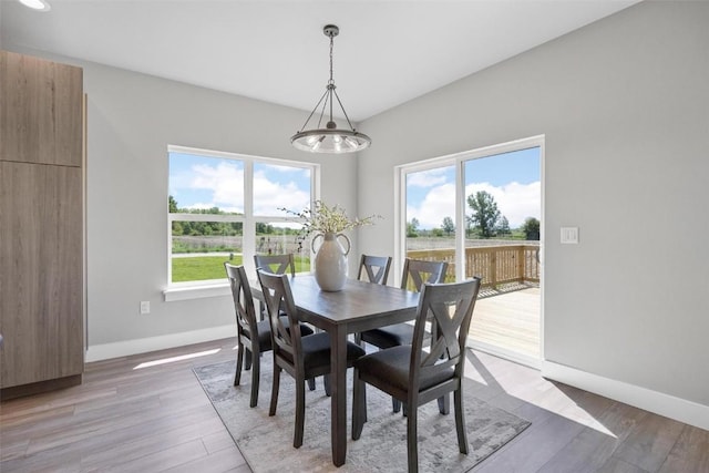 dining area with light hardwood / wood-style floors