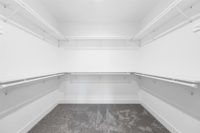 spacious closet featuring dark colored carpet