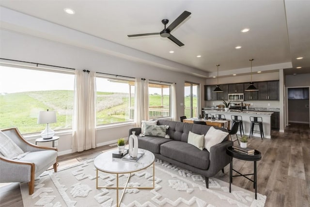 living room featuring dark wood-type flooring and ceiling fan