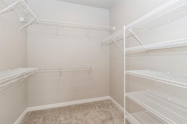 walk in closet with carpet floors