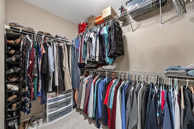 walk in closet featuring carpet flooring