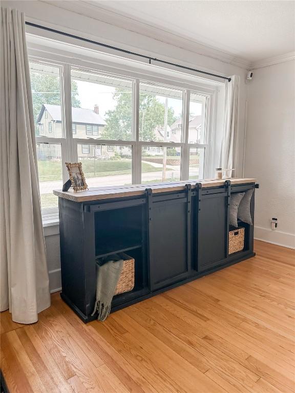 interior space with crown molding, light hardwood / wood-style flooring, and a wealth of natural light