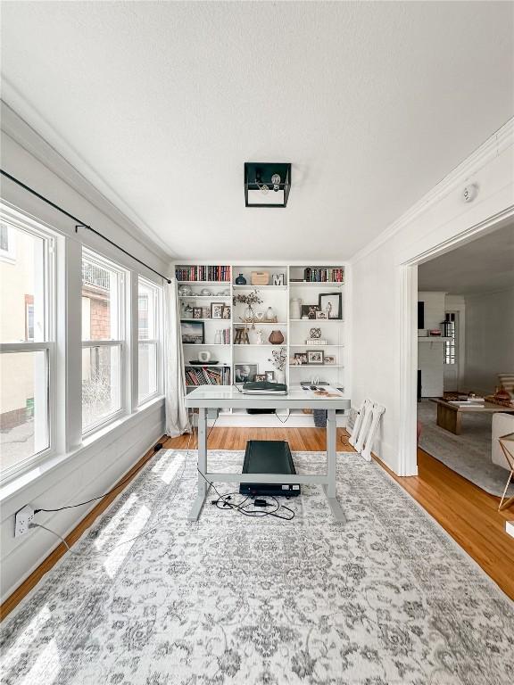 office space with hardwood / wood-style flooring and ornamental molding