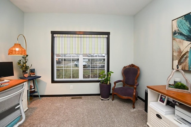 living area featuring carpet flooring