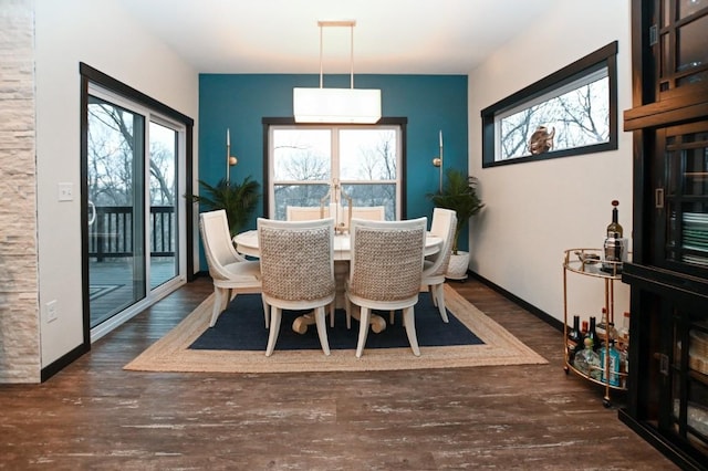 dining room with dark hardwood / wood-style floors and a healthy amount of sunlight