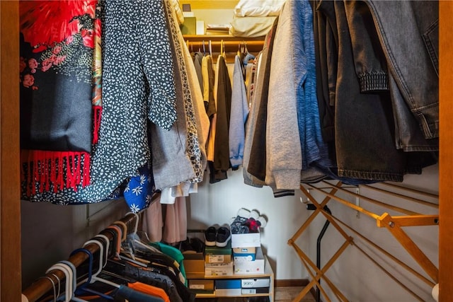 view of spacious closet