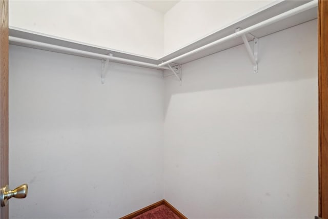 view of spacious closet