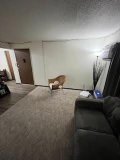 living room with hardwood / wood-style flooring and a textured ceiling