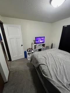 carpeted bedroom with a textured ceiling