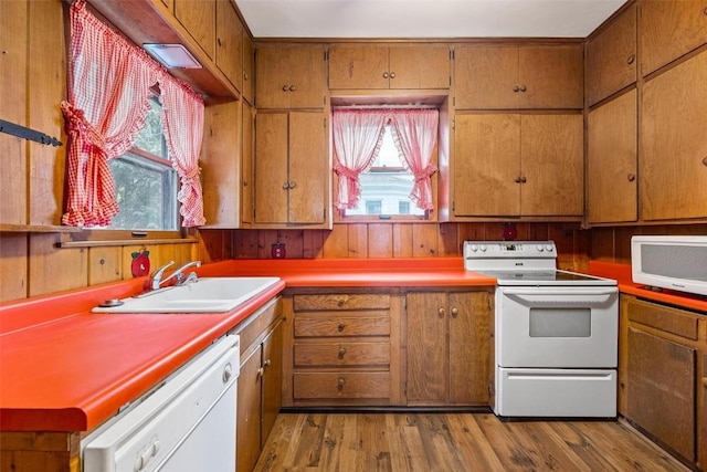 kitchen featuring a wealth of natural light, sink, hardwood / wood-style floors, and white appliances