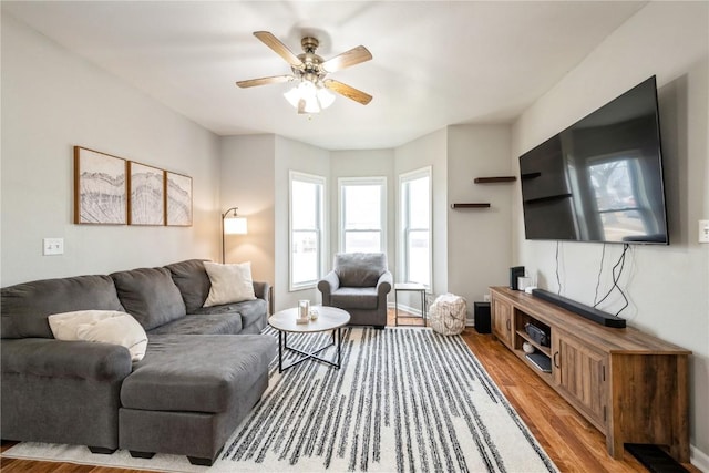 living room with hardwood / wood-style flooring and ceiling fan