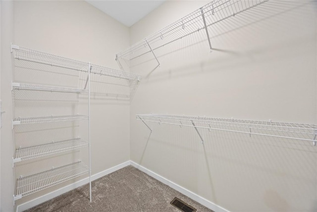 spacious closet featuring carpet