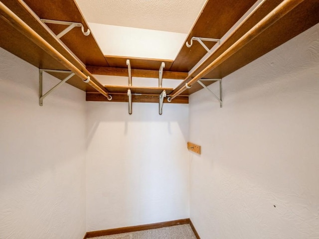 walk in closet featuring carpet flooring