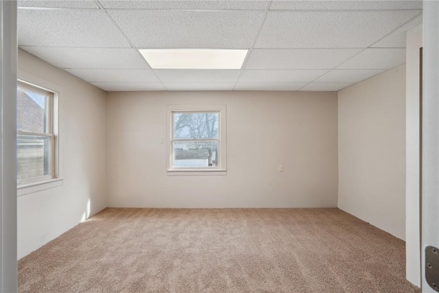 spare room with a drop ceiling and carpet