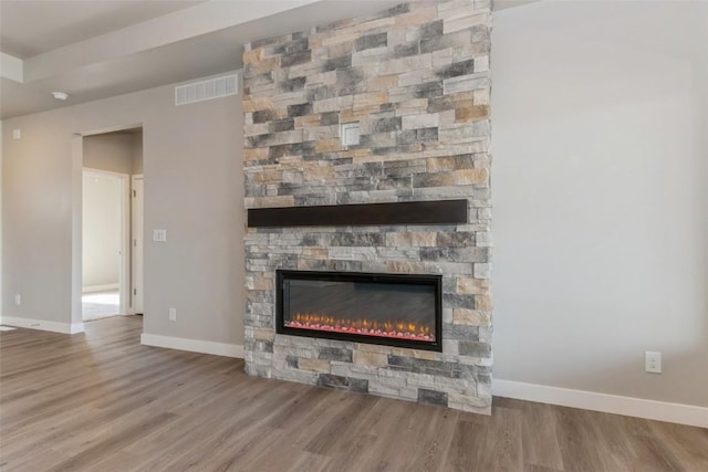 details featuring wood-type flooring and a fireplace