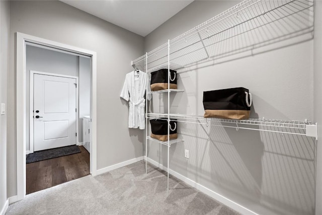 spacious closet featuring carpet floors