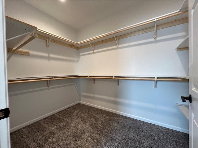 walk in closet featuring dark colored carpet