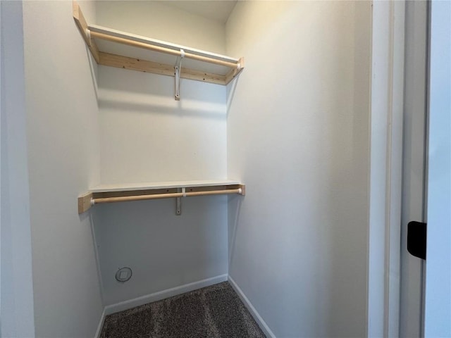 spacious closet with dark carpet