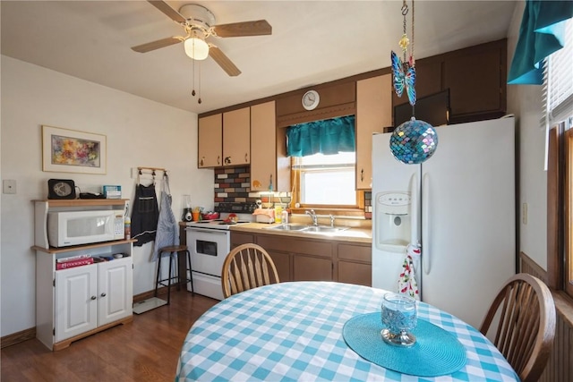 kitchen featuring sink, white appliances, tasteful backsplash, cream cabinets, and dark hardwood / wood-style flooring