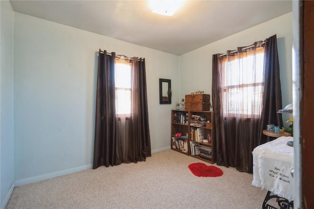 misc room featuring plenty of natural light and carpet floors