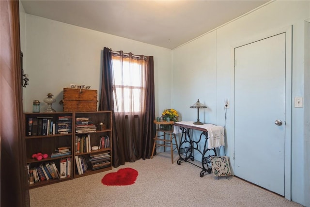 misc room featuring carpet flooring