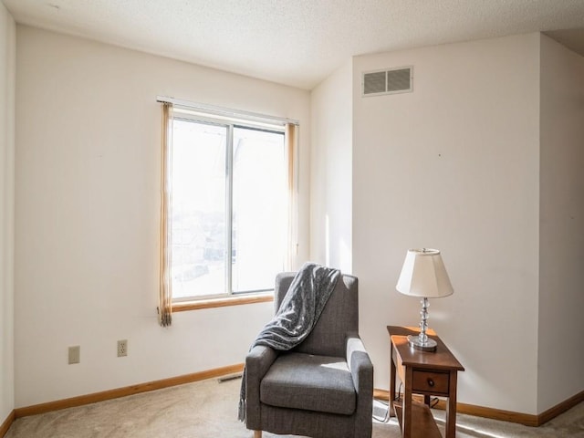 living area featuring carpet floors and a textured ceiling