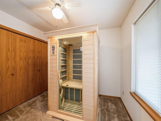 view of sauna / steam room with carpet flooring