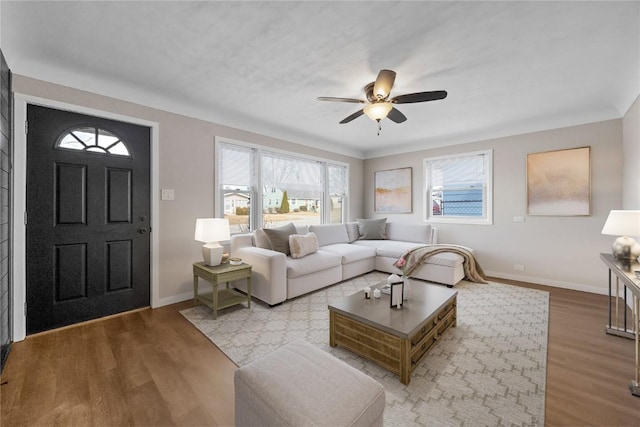 living room featuring ceiling fan and light hardwood / wood-style flooring