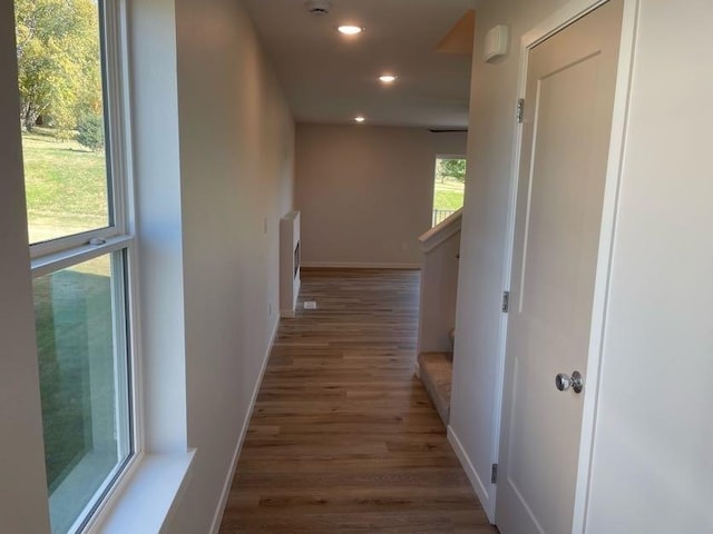 corridor featuring dark hardwood / wood-style floors