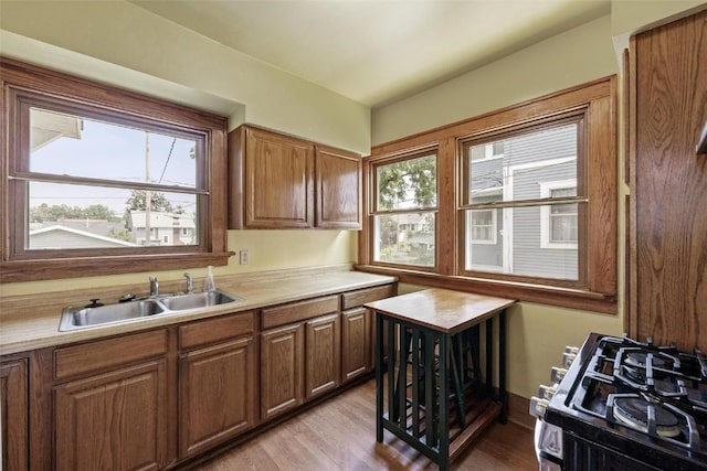 kitchen with light wood-type flooring, sink, and stainless steel gas range oven