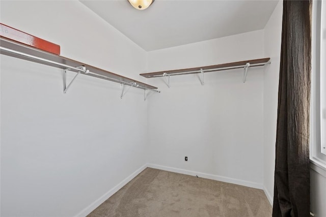 spacious closet featuring light carpet