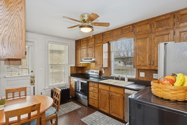 kitchen with sink, ceiling fan, a healthy amount of sunlight, and appliances with stainless steel finishes