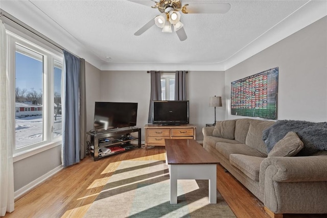 living room featuring ceiling fan, a textured ceiling, and light wood-type flooring