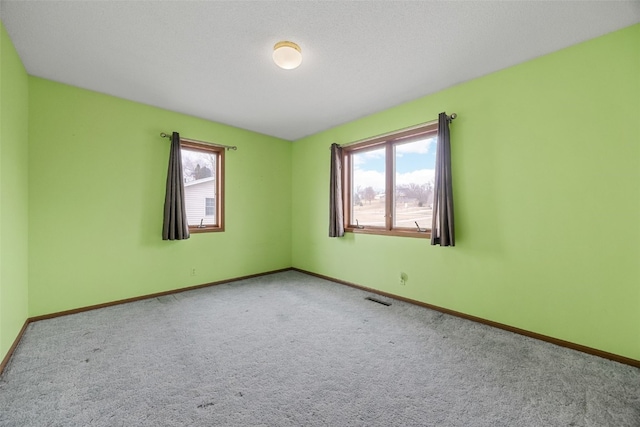 carpeted empty room featuring a wealth of natural light