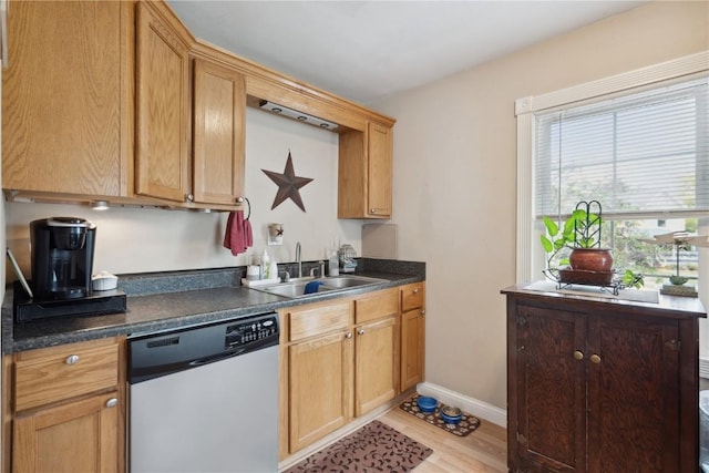 kitchen with sink, stainless steel dishwasher, and light hardwood / wood-style flooring