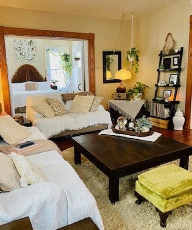 living room featuring wood-type flooring