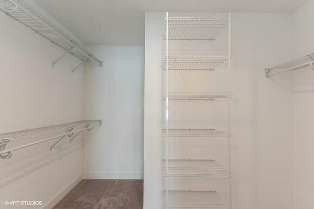 walk in closet with carpet flooring