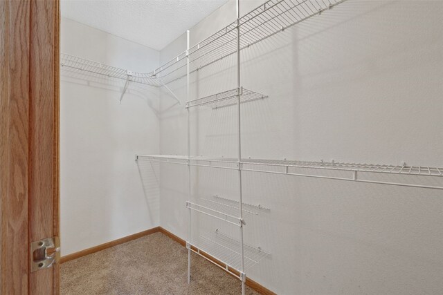 3440 Sunburst Ave, Marion, IA 52302 - walk in closet with carpet flooring