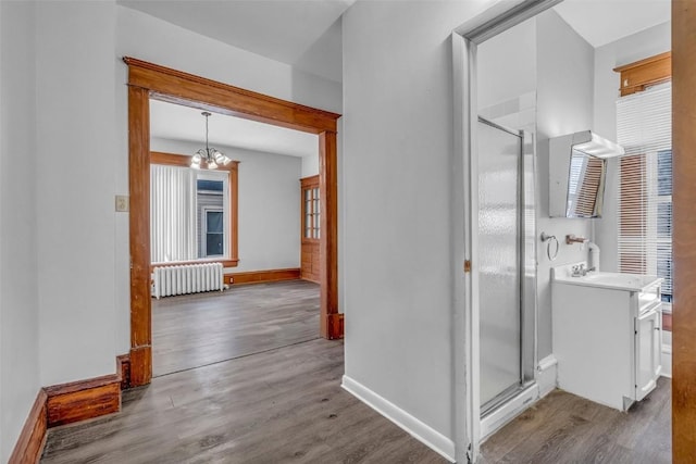 interior space with a notable chandelier, a shower stall, radiator heating unit, and wood finished floors