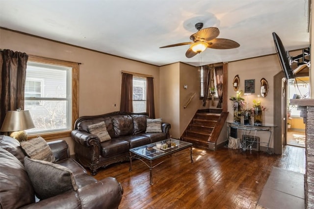 living room featuring stairs, ceiling fan, ornamental molding, and dark wood-style floors