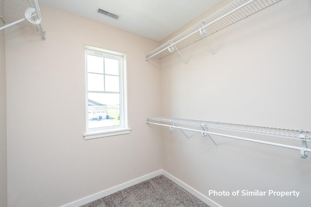 walk in closet featuring carpet floors and visible vents