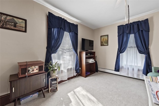 bedroom with light colored carpet