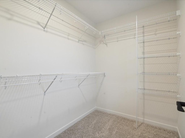 walk in closet with carpet