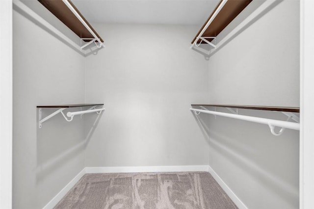 spacious closet with carpet floors