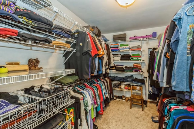 spacious closet featuring carpet